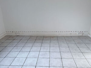 IMG 2400 referenzen