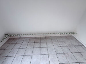 IMG 2404 referenzen