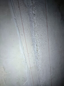 IMG 2498 Kopie referenzen